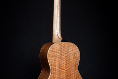 Arnaldo-Lopez-Terzgitaar-005