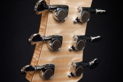 Terzguitar-005