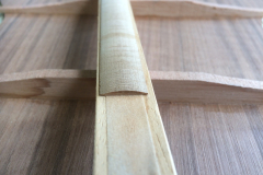 back-reinforcement-strip-lopez-terzguitar