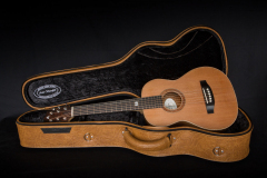 Gitaar-in-koffer-Arthur-Benedict
