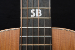 Stefan-Blankestijn-gitarist-Guus-Meeuwis
