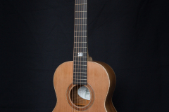 Terzgitaar-front-cedar-top