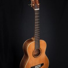 Terts-Gitaar-Arnaldo-Lopez