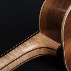 Terz-Guitar-Arnaldo-Lopez-5-Piece-Laminated-Neck-Walnut-Flamed-Maple