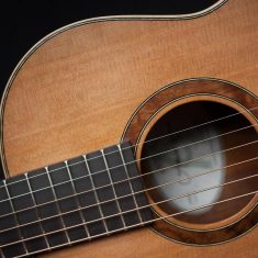 Terz-Guitar-Arnaldo-Lopez-Port-Orford-Red-Cedar-French-Polished