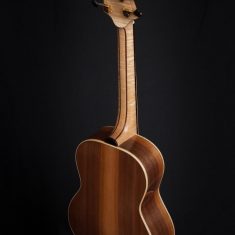 Terz-Guitar-Arnaldo-Lopez-back-walnut