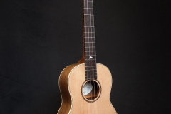 Arnaldo-Lopez-Tenor-ukelele