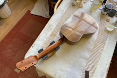 Arnaldo Lopez Ukelele 2019 - 50